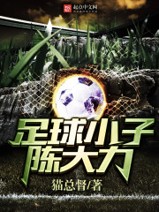 足球小子陈大力