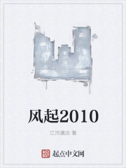风起2010