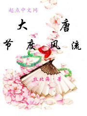 大唐节度风流