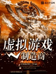 虚拟游戏制造商