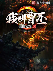 我叫曹丕