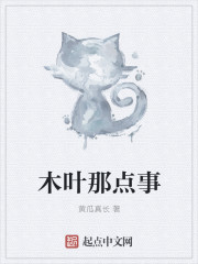 木叶那点事