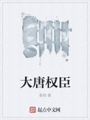 大唐权臣