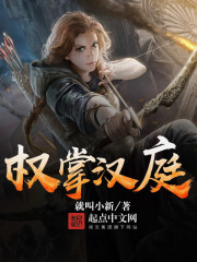 权掌汉庭