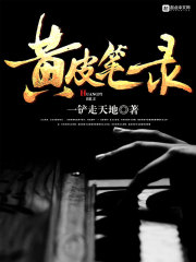 黄皮笔录