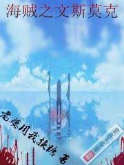 海贼之文斯莫克