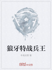 狼牙特战兵王