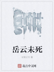 岳云未死