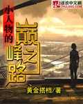 小人物的巅峰之路