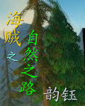 海贼之自然之路