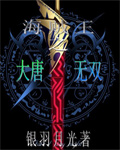 海贼王之大唐无双