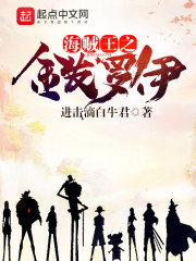 海贼王之金发罗伊
