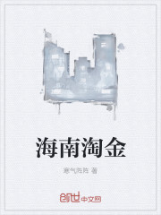 海南淘金