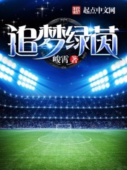 追梦绿茵