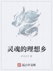 灵魂的理想乡