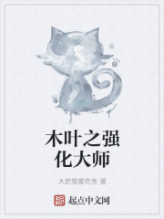木叶之实力至上角色介绍