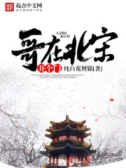 哥在北宋开个门