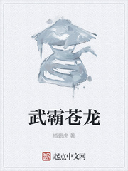 武霸苍龙