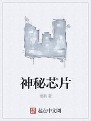 神秘芯片