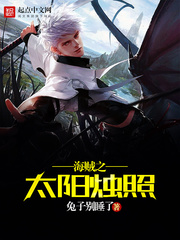 海贼之太阳烛照