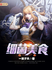 细菌没有染色体吗