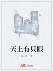 天上有只眼