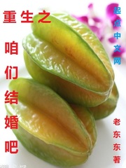 重生之咱们结婚吧