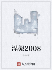 涅盘2008