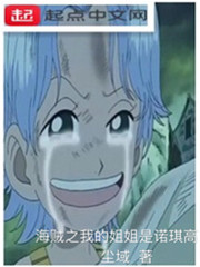 海贼之我的姐姐是诺琪高