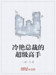 冷艳总裁的超级高手