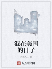 混在美国的日子