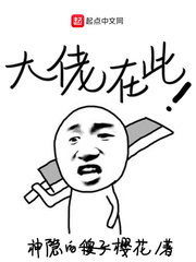 大佬在此