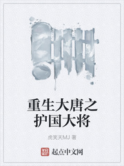 重生大唐之护国大将