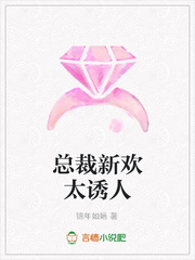 总裁新欢太诱人