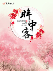 眸中客