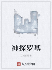 神探罗基