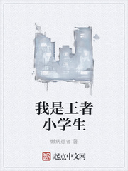 我是王者小学生