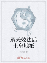 承天效法后土皇地只