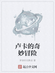卢卡的奇妙冒险