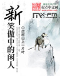 新笑傲中的闲人