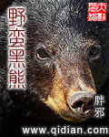 野蛮黑熊