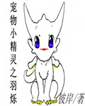 宠物小精灵之羽烁