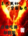 某凤凰的学园都市