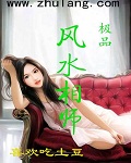 极品风水相师