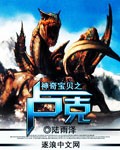 神奇宝贝之卢克