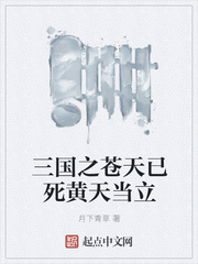 三国之苍天已死黄天当立