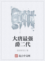 大唐最强爵二代
