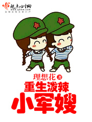 重生泼辣俏佳人
