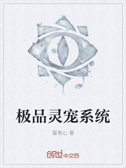 极品灵宠系统