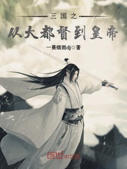 三国之从大都督到皇帝